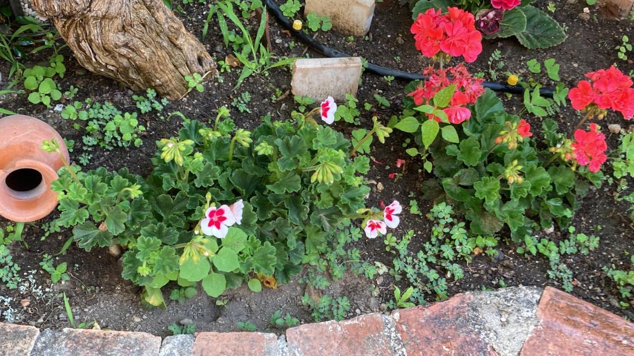 L'Antico Borgo Bed & Breakfast Milazzo Dış mekan fotoğraf