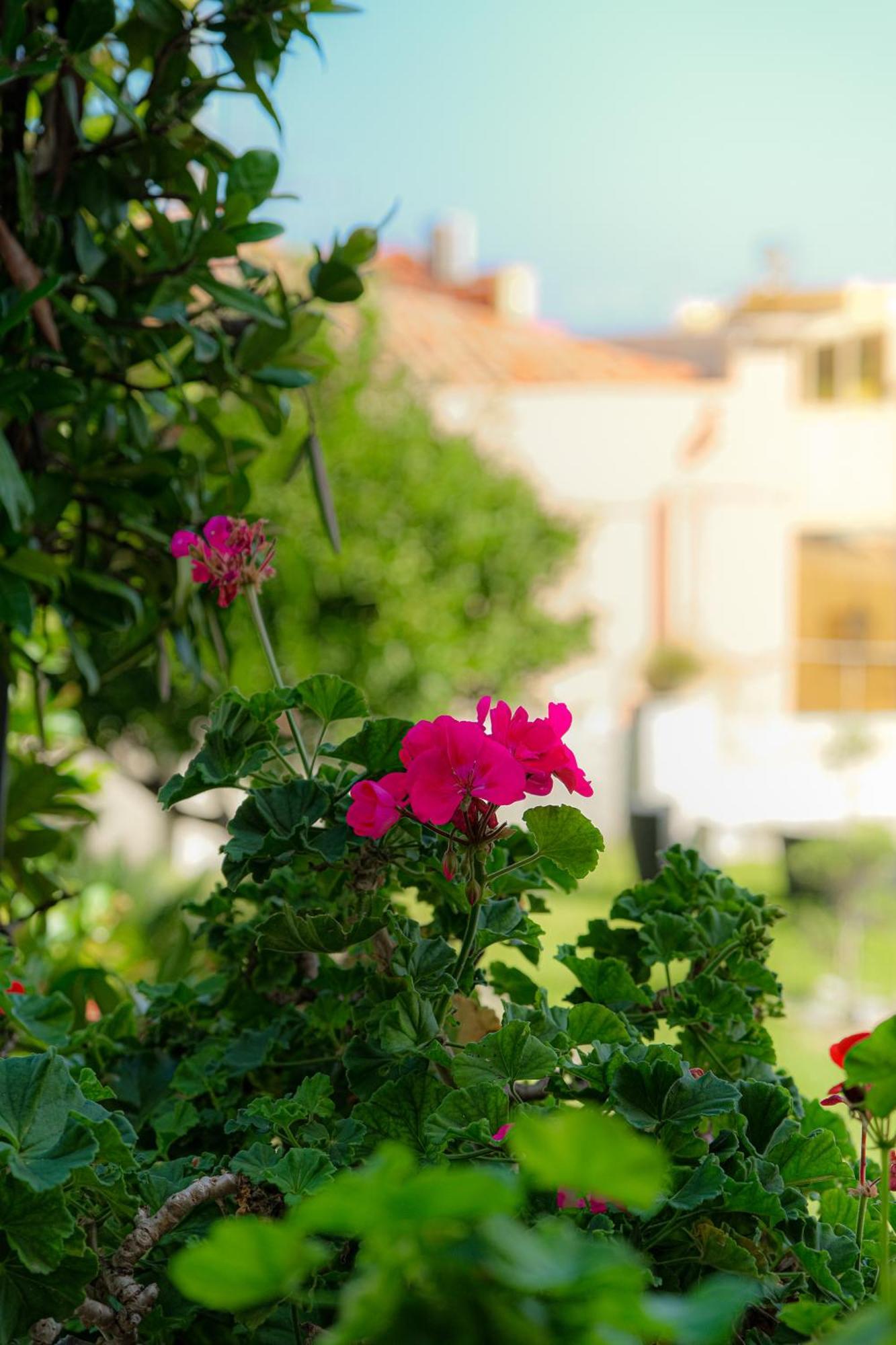 L'Antico Borgo Bed & Breakfast Milazzo Dış mekan fotoğraf